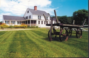 RobinHillframe